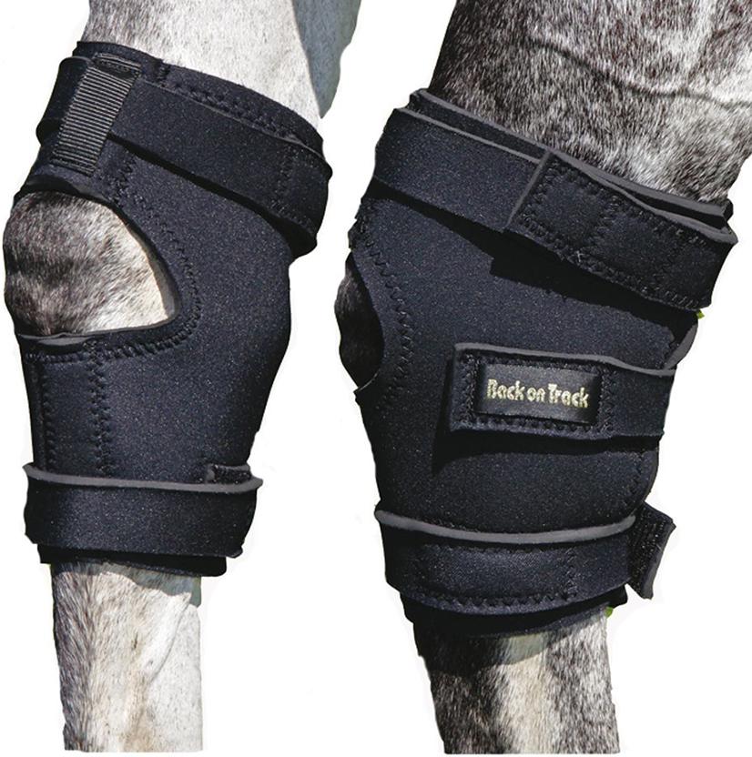 Back On Track USA Back On Track Hock Boots with Holes