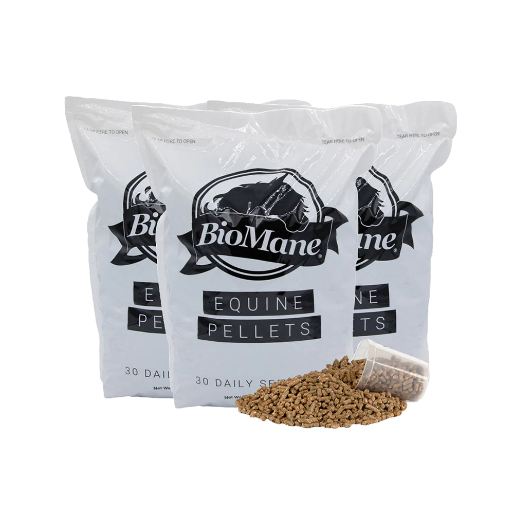 BioMane Supplies BioMane 90 Supply Hair Health