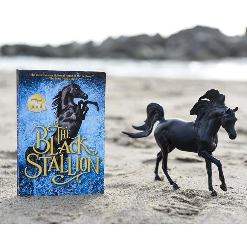 Breyer Other OSFA / MULTI Breyer The Black Stallion Horse & Book Set