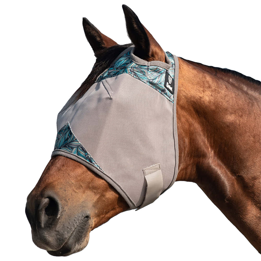 Cashel Supplies Cashel Fly Mask - Plume