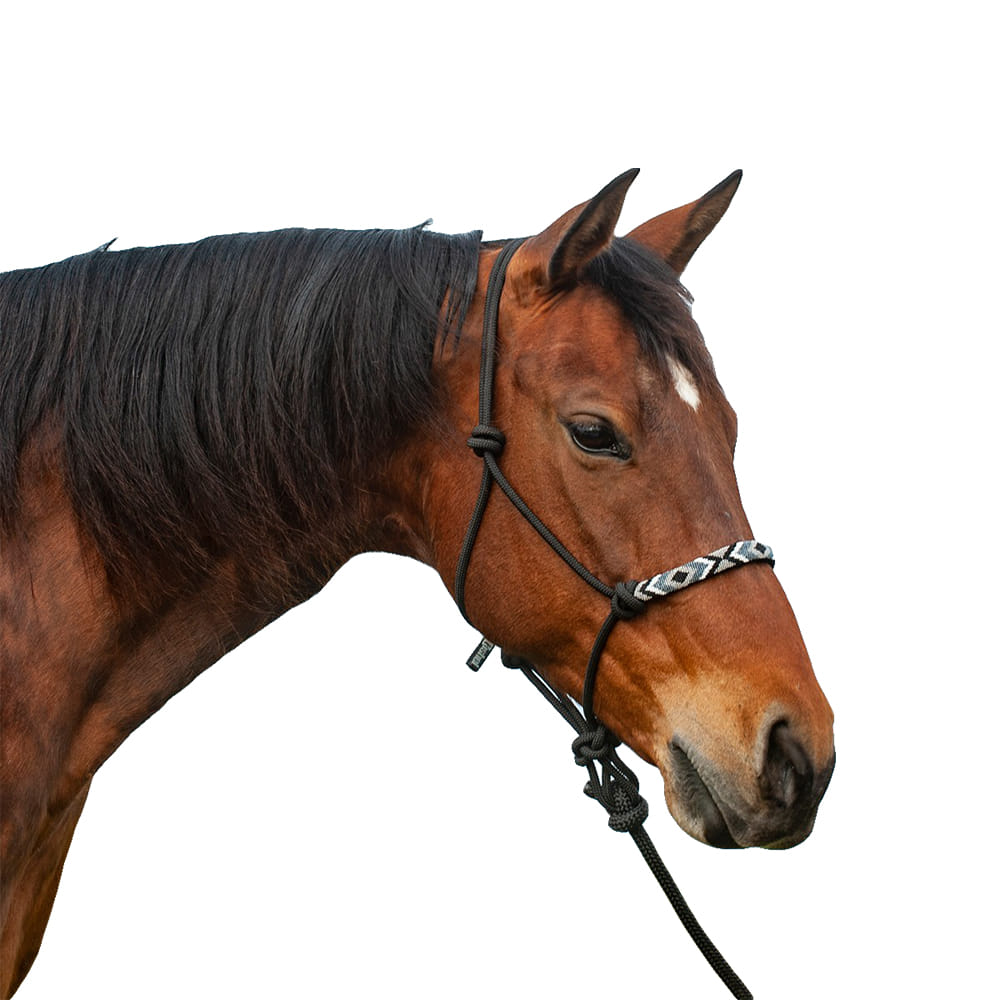 Cashel Tack Cashel Beaded Rope Halter