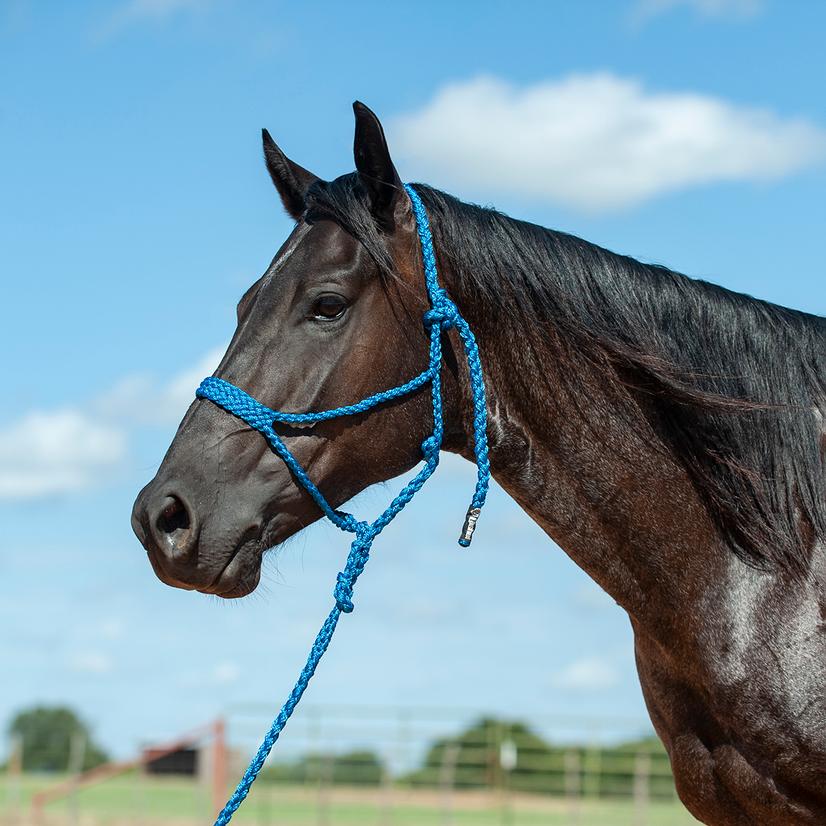 Cashel Tack Standard / Blue Cashel Flat Braid Halter With 8' Lead Rope