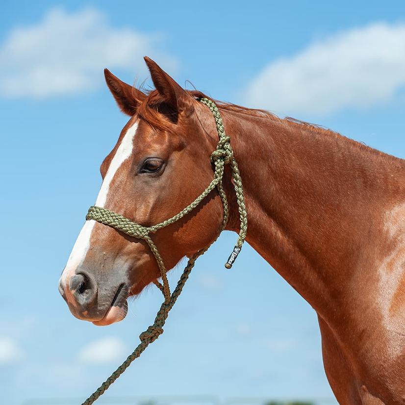 Cashel Tack Standard / Green Cashel Flat Braid Halter With 8' Lead Rope