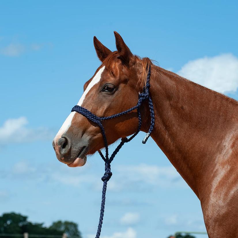 Cashel Tack Standard / Navy Cashel Flat Braid Halter With 8' Lead Rope