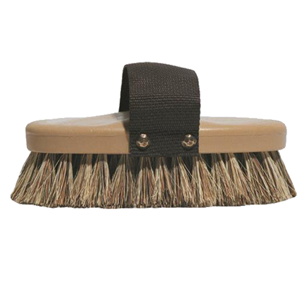 Decker Mfg Supplies C12The Thoroughbred Medium Stiff Brush w Handle