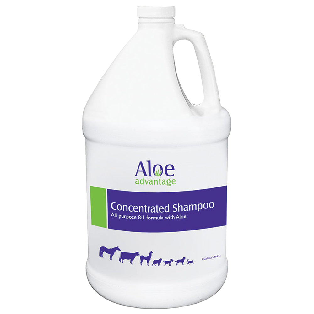 Durvet Supplies Dutvet Concentrated Aloe Advantage Shampoo