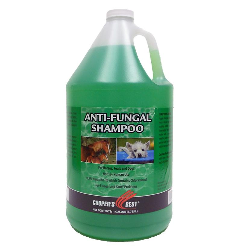 First Companion Supplies Gallon First Companion Antifungal Shampoo 1 Gallon