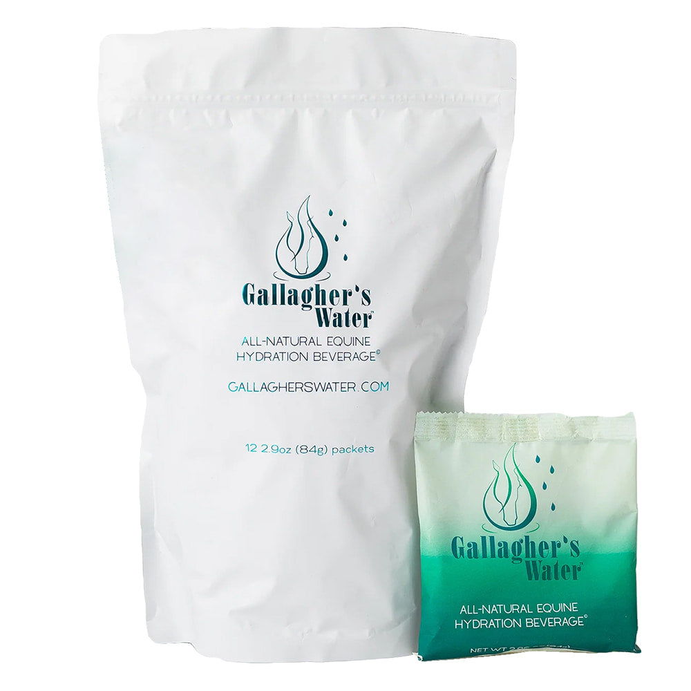 Gallagher's Water Supplies Gallagher's Water 2.9OZ 12-Pack