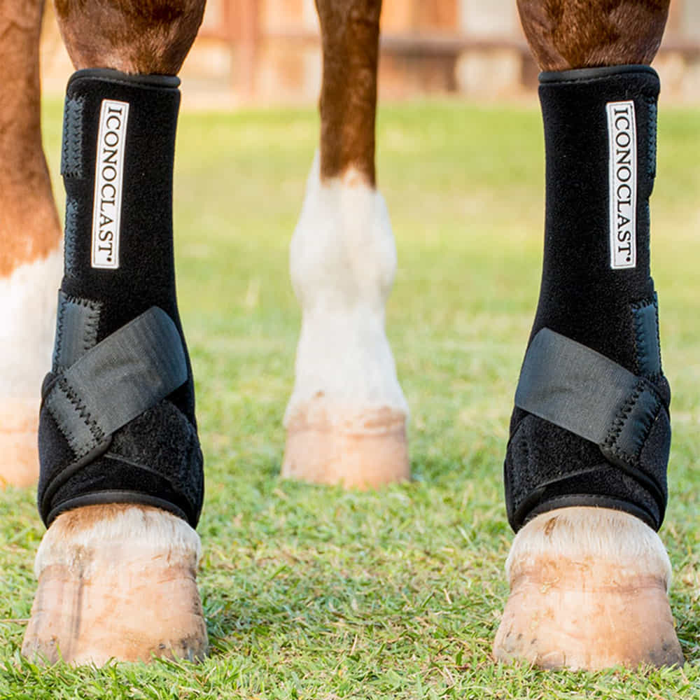 Iconoclast Tack Iconoclast Rehabilitation Boots