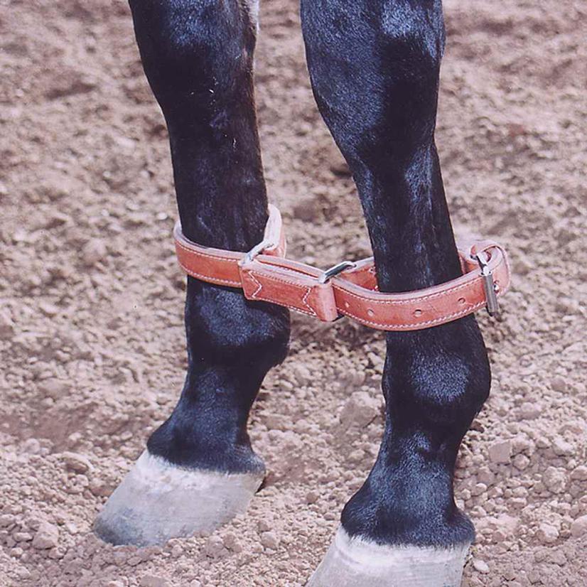 Martin Saddlery Tack Martin Saddlery Harness Leather Hobbles