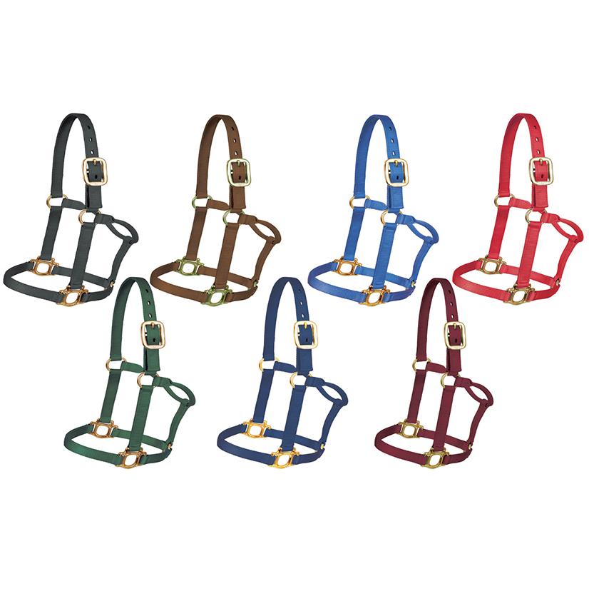 Mustang Tack Mustang 1" Triple Ply Nylon Halter for Regular 800lbs - 1100lbs