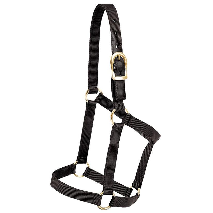Mustang Tack Mustang Economy Halter