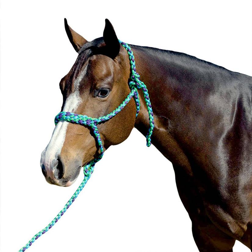 Mustang Tack Mustang Flat Plaited Noseband Halter