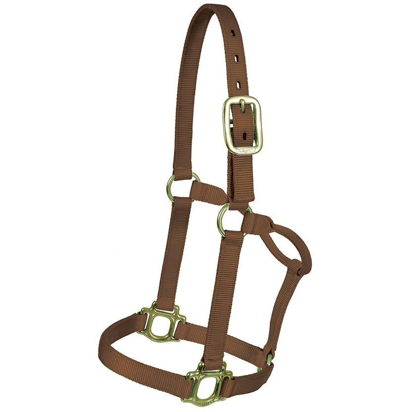 Mustang Tack Standard / Brown Mustang 1" Triple Ply Nylon Halter for Regular 800lbs - 1100lbs