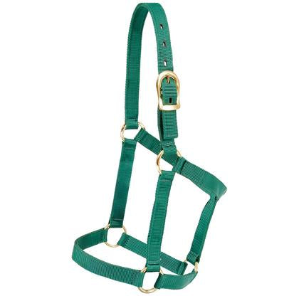 Mustang tack Standard / Hunter Green Mustang Economy Halter