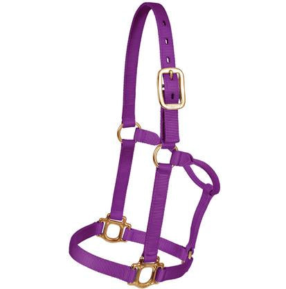 Mustang Tack Standard / Purple Mustang 1" Triple Ply Nylon Halter for Regular 800lbs - 1100lbs