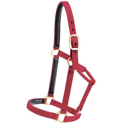 Mustang tack Standard / Red Mustang Economy Halter