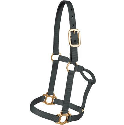 Mustang Tack Yearling / Black Mustang Triple Ply Nylon Halter Yearling 500lb-800lb
