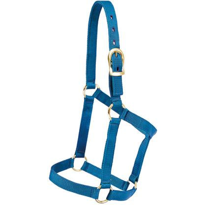 Mustang Tack Yearling / Blue Mustang Economy Halter