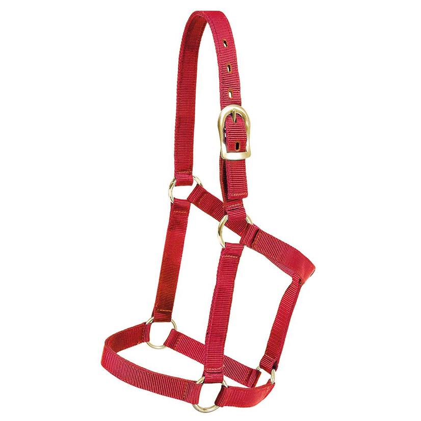Mustang Tack Yearling / Red Mustang Economy Halter