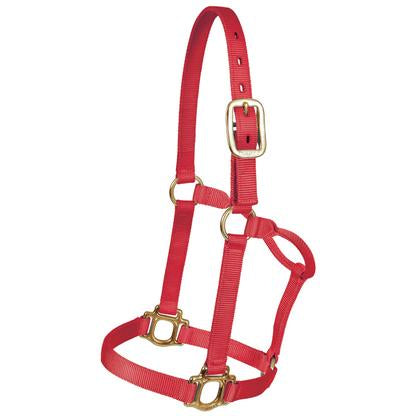 Mustang Tack Yearling / Red Mustang Triple Ply Nylon Halter Yearling 500lb-800lb