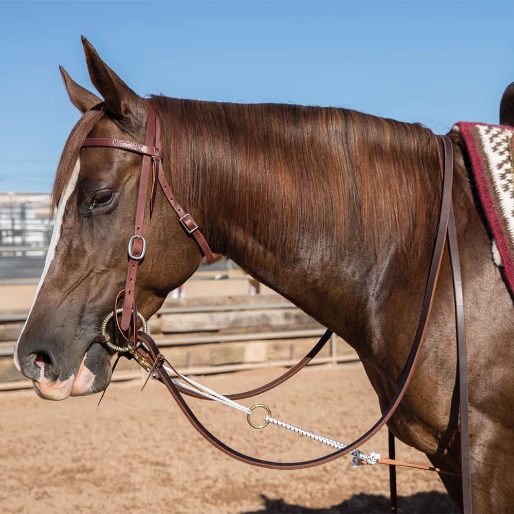 Professional's Choice Tack Hermann Oak Professional Choice Al Dunning Yo-Yo Headsetter