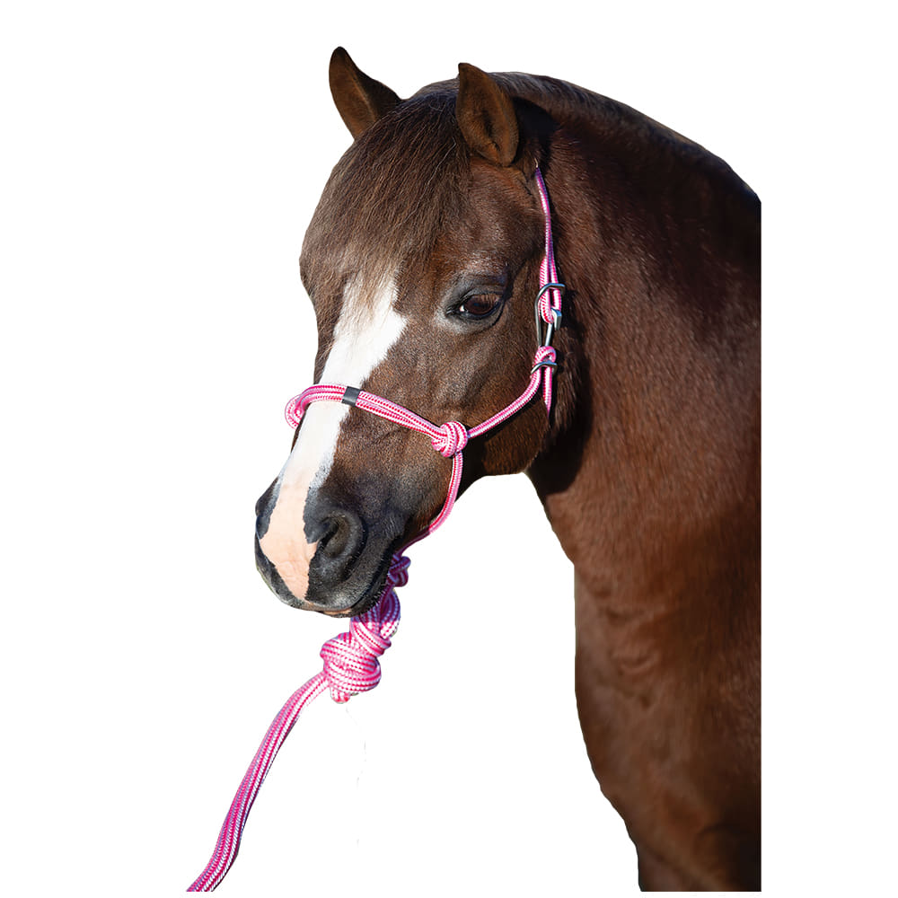Professional's Choice Tack Pink / Mini Professional's Choice Pony Mini Rope Halter