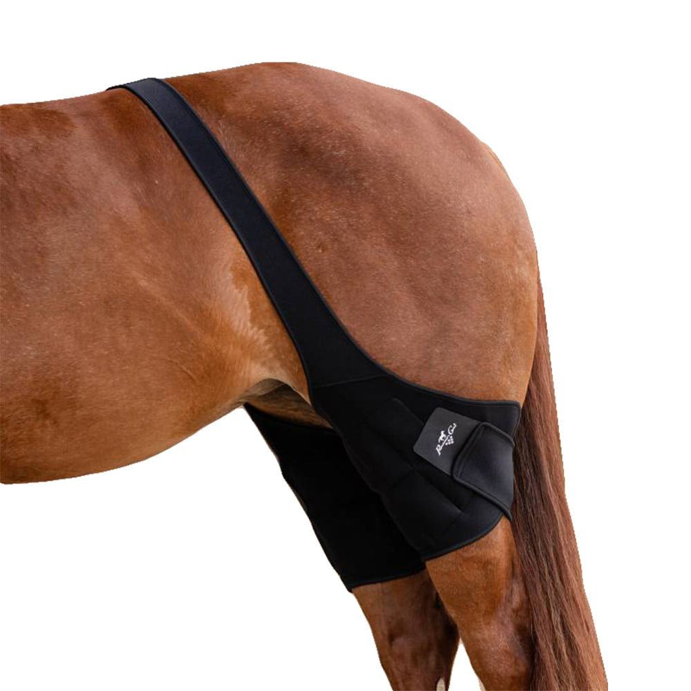 Professional's Choice Tack Professional Choice Stifle Ice Wrap