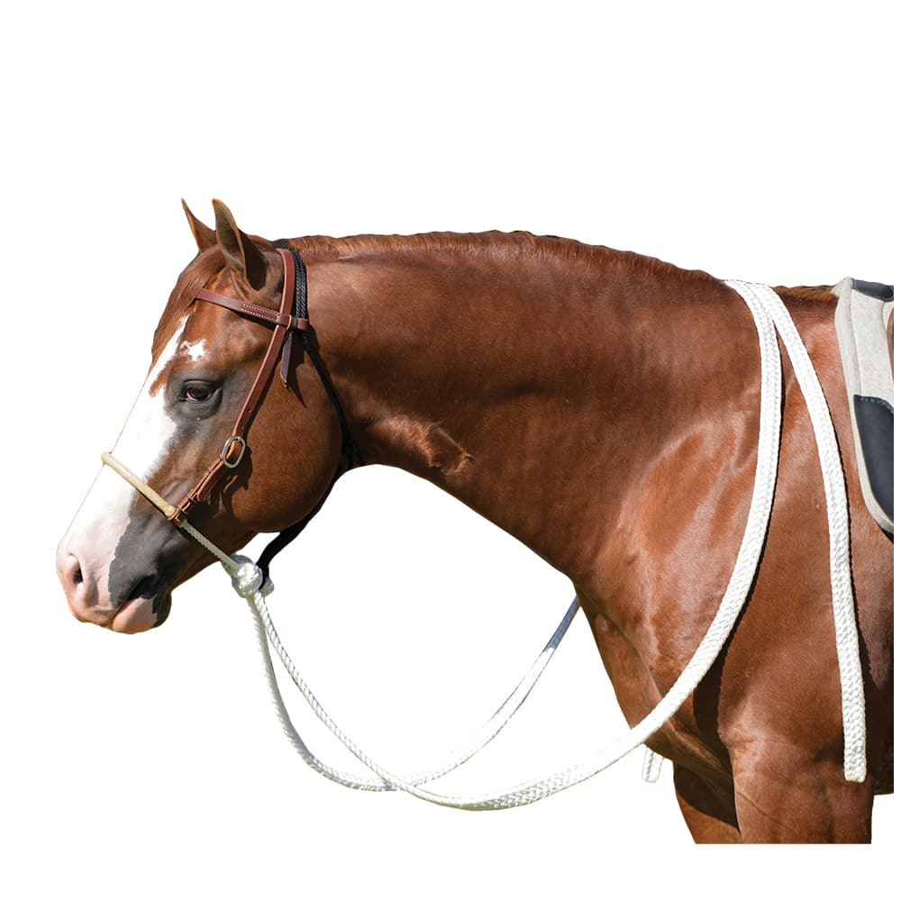 Professional's Choice Tack Professional's Choice Loping Hackamore Ranch Heavy Oil With Mule Tape Reins