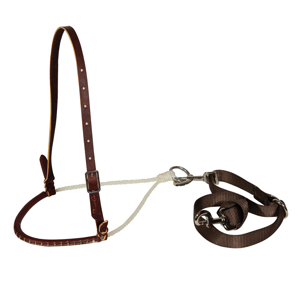 Professional's Choice Tack Professional's Choice Pony Tie Down Set