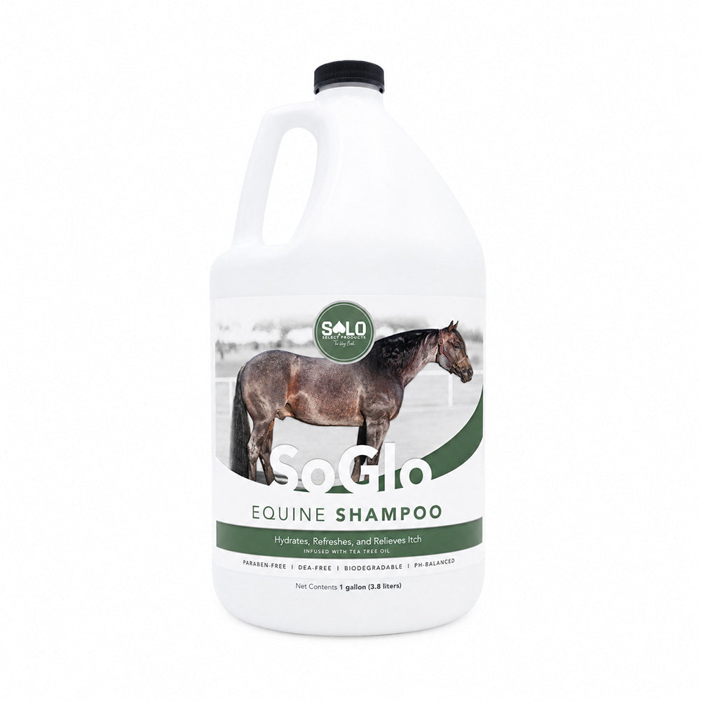 SOLO SELECT PRODUCTS 1000 SHAMPOO CONDITIONER AND POLISH SoGlo Equine Shampoo
