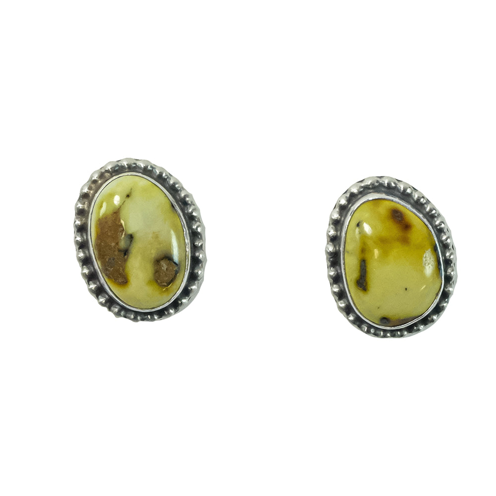 South Texas Tack Apparel Jewelry Palomino Turquoise Palomino Turquoise Oval Stud Earrings