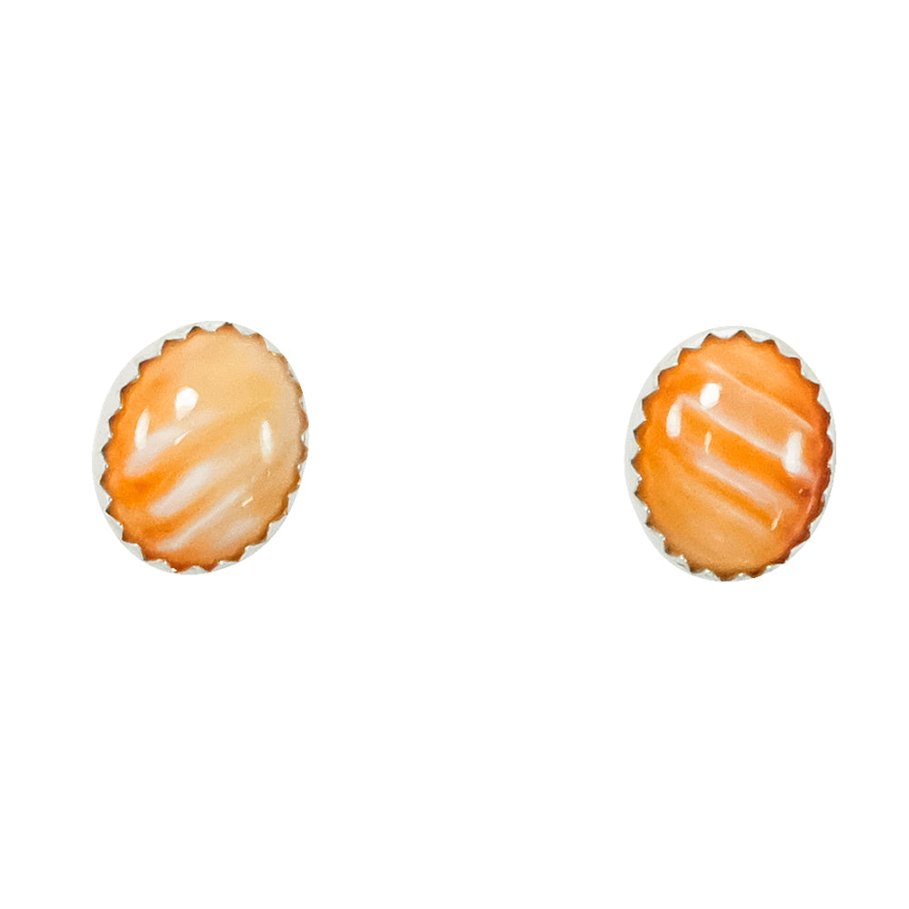 South Texas Tack Apparel Jewelry Spiny Oyster Oblong Spiny Oyster Center Stud Earrings