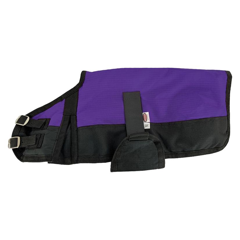 South Texas Tack Supplies Purple / XL South Texas Tack Waterproof Dog Blanket- Extra Large