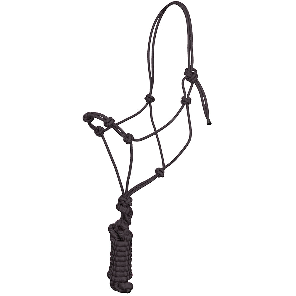 South Texas Tack Tack Black / Standard Knotted Rope Halter w/ 10 Lead