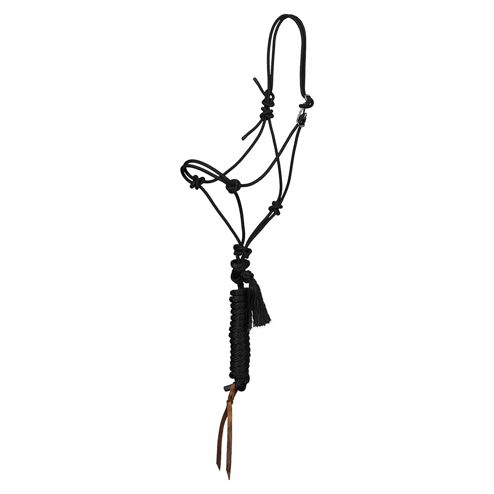 South Texas Tack Tack Black / STANDARD Premium Easy On  Rope Halter  8ft Lead w Popper