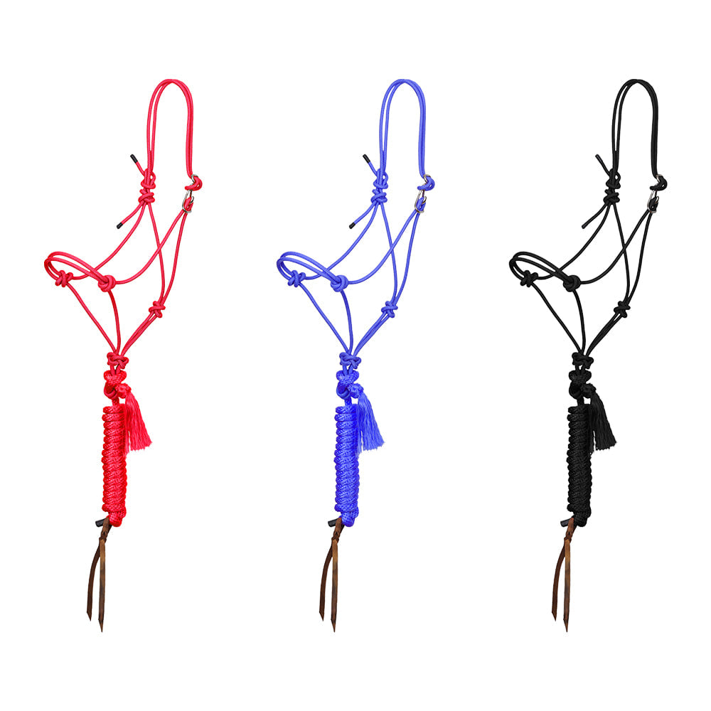 South Texas Tack Tack Premium Easy On  Rope Halter  8ft Lead w Popper