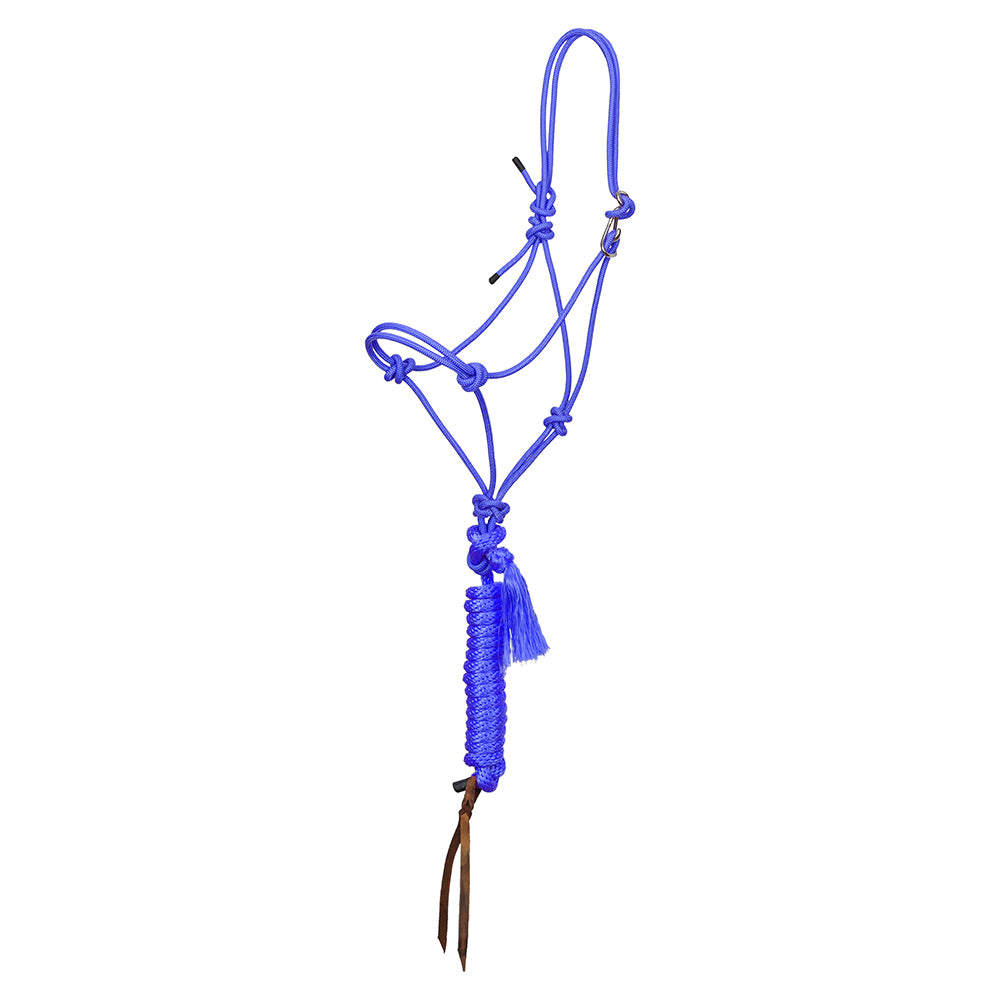 South Texas Tack Tack Royal / STANDARD Premium Easy On  Rope Halter  8ft Lead w Popper