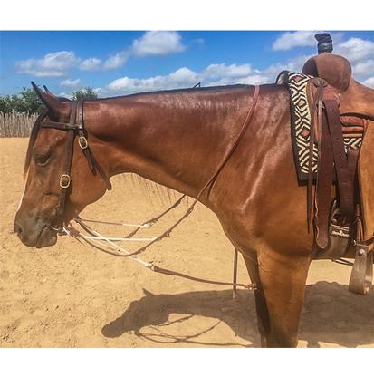 South Texas Tack Tack South Texas Tack German Martingale with Barrel Reins