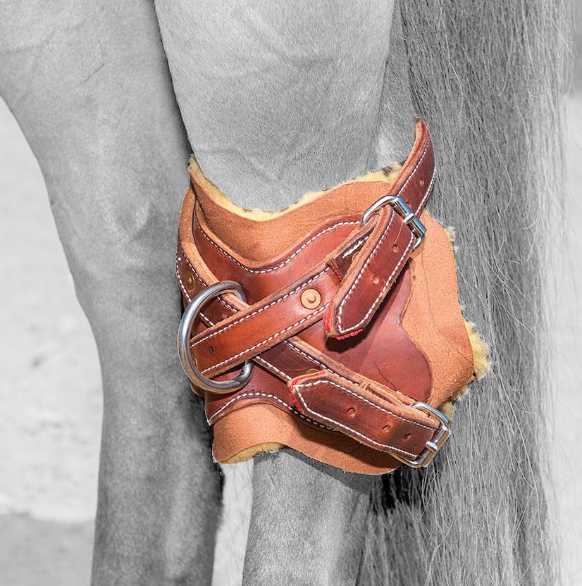 South Texas Tack Tack South Texas Tack Leather Hock Hobbles with Sheepskin Lining