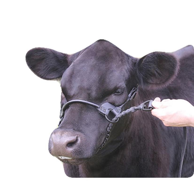 Sullivan's Supply Supplies Black / Medium Sullivan Supply First Class Show Halter - Black Size Medium