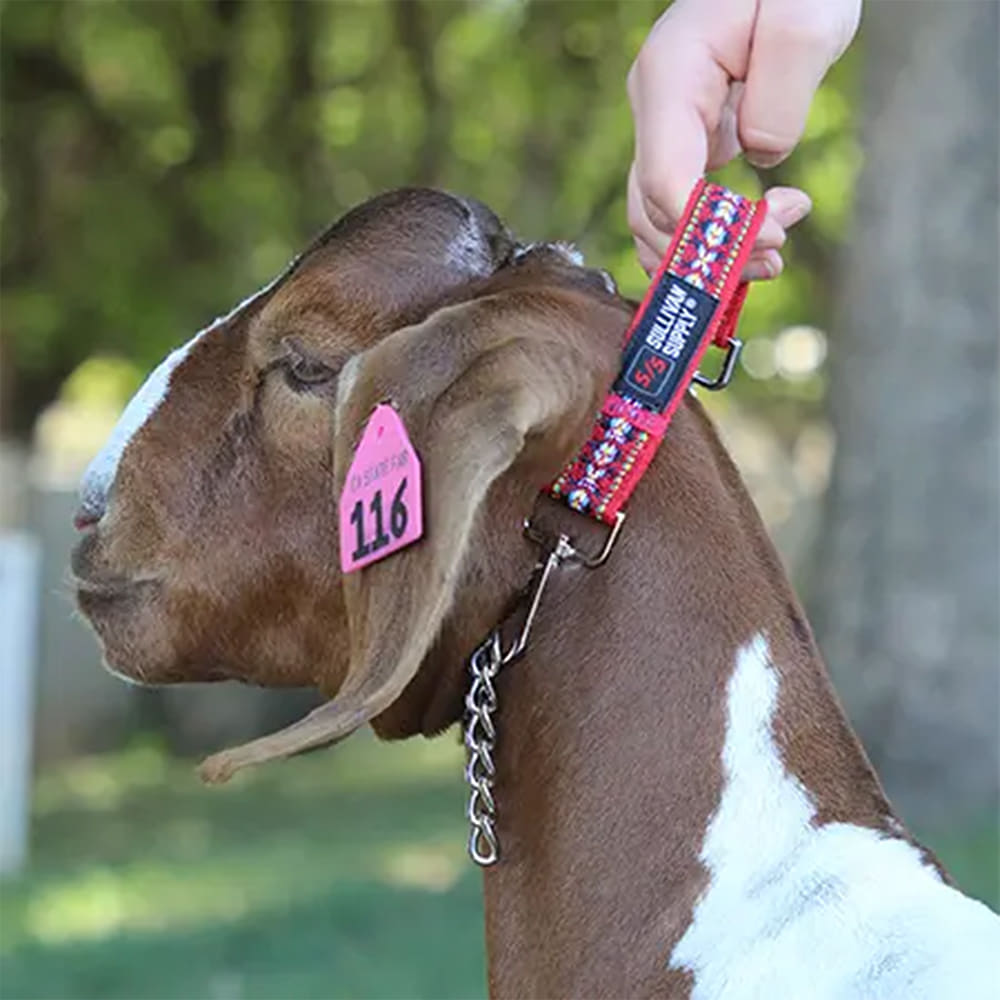 Sullivan's Supply Supplies Red Sullivan Supply Free Spirit Lead