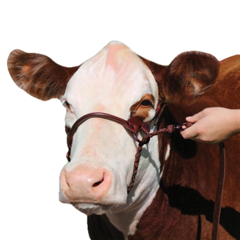 Sullivan's Supply Supplies Small / Brown Sillivan's Supply Brown 1st Class Show Halter - Small