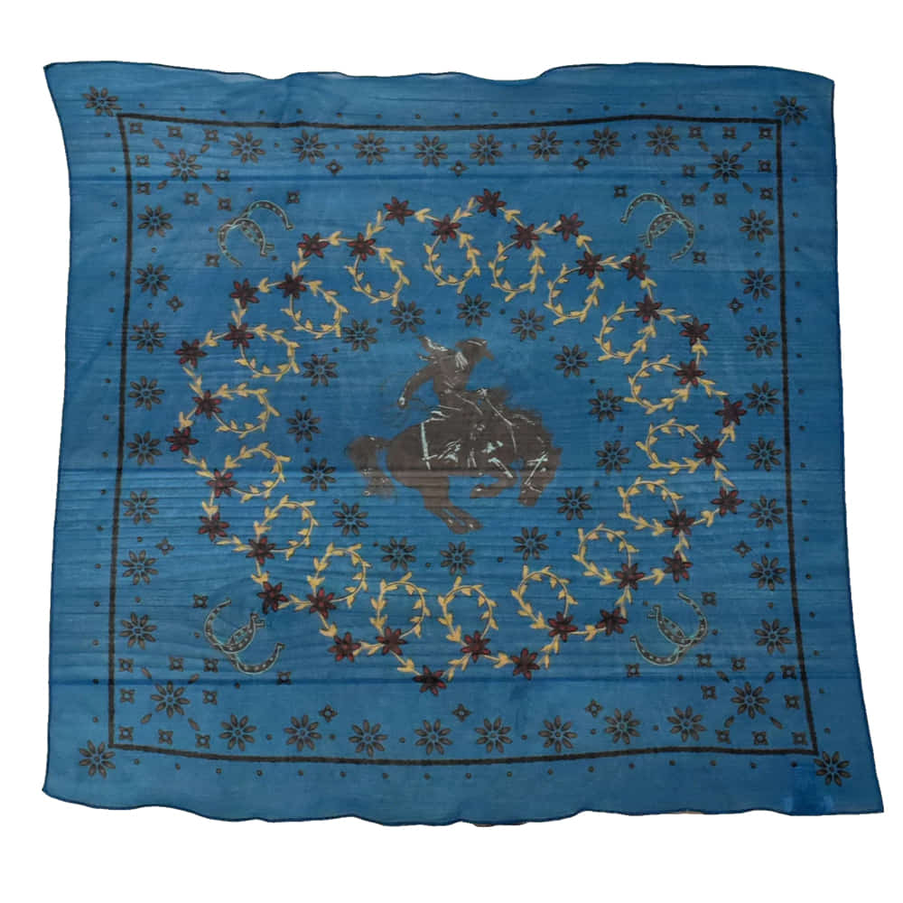 Tasha Polizzi Other Tasha Polizzi Wynn Multicolor Scarf