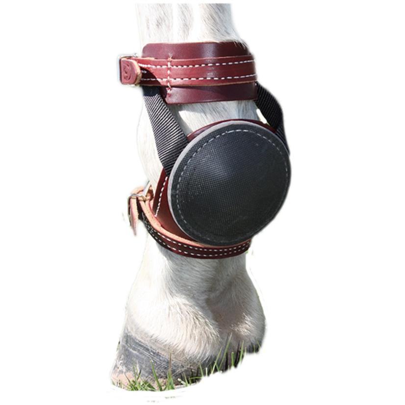 Tod Slone Saddlery tack Tod Sloan Deluxe Skid Boots - Standard Size