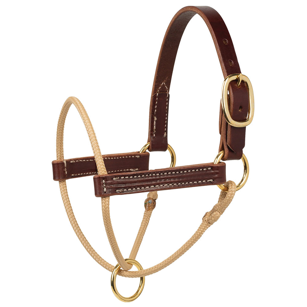 Weaver Leather Tack Horseman's Foal Leather Halter