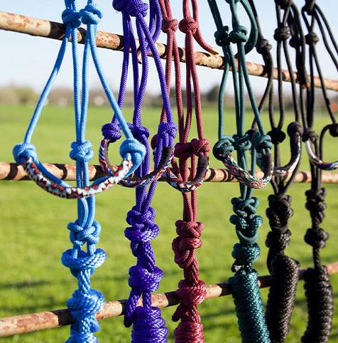 halters hanging on fence