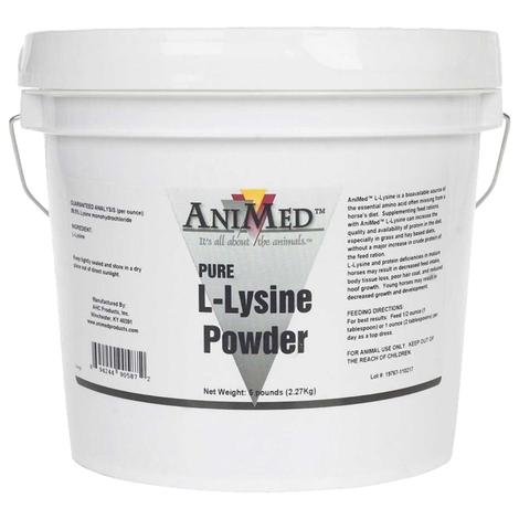 AniMed Pure L-Lysine Powder 5lb Supplement